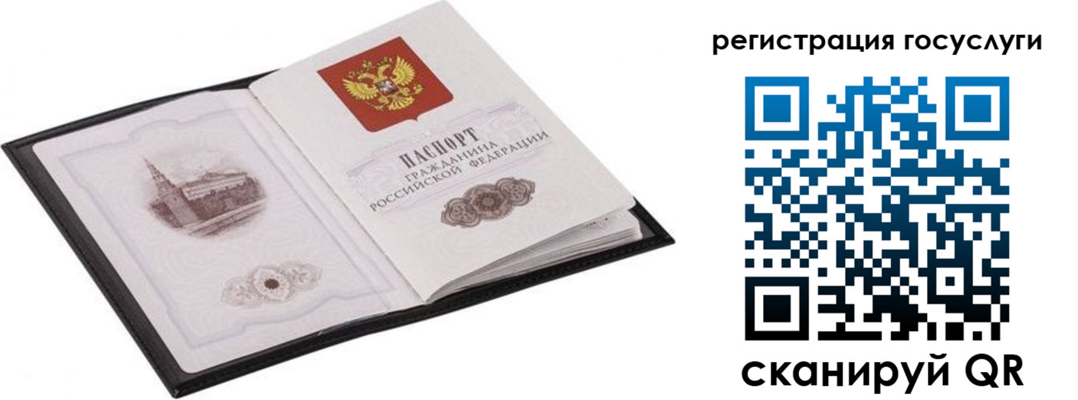 временная регистрация поиск в Жердевке
